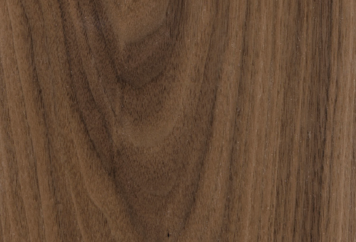 American Black Walnut